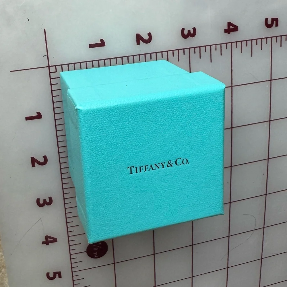 Tiffany and Co Gift Box 2”